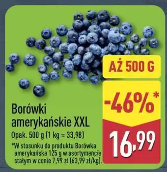 ALDI Borówki amerykańskie XXL oferta