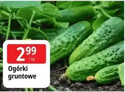 E.Leclerc Ogórki gruntowe oferta