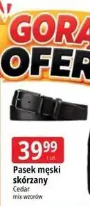 E.Leclerc Pasek męski skórzany Cedar oferta