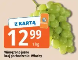 E.Leclerc Winogrono jasne oferta