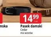 E.Leclerc Pasek damski Cedar oferta