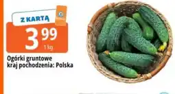 E.Leclerc Ogórki gruntowe oferta