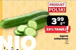 Netto Ogórek szklarniowy oferta