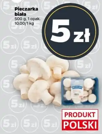 Netto Pieczarka biała oferta