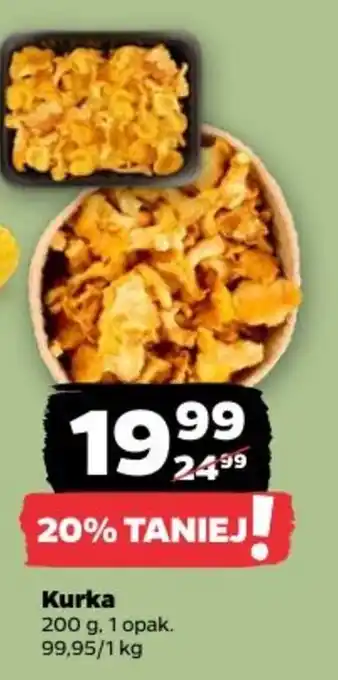 Netto Kurka oferta