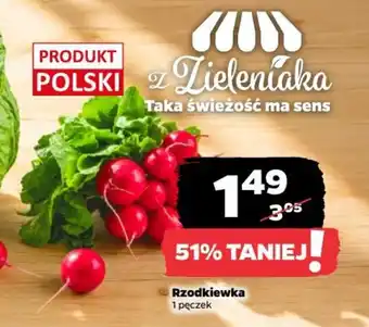 Netto Rzodkiewka oferta