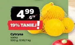 Netto Cytryna oferta