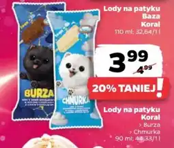 Netto Lody na patyku Koral oferta
