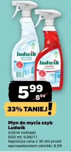 Netto Płyn do mycia szyb Ludwik oferta