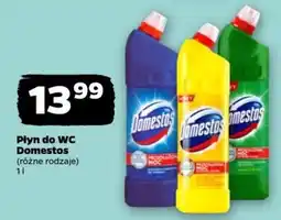 Netto Płyn do WC Domestos oferta