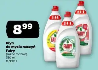 Netto Płyn do mycia naczyń Fairy oferta