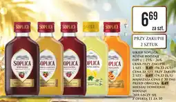 Dino Likier Soplica Wiśniowa oferta