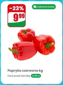 Dino Papryka czerwona oferta