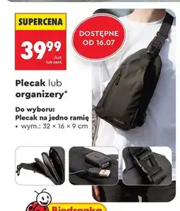 Biedronka Plecak na jedno ramię WINGS oferta