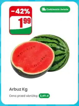Dino Arbuz oferta