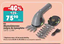 Biedronka Akumulatorowe nożyce do żywopłotu NAC oferta