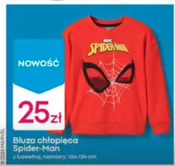 Pepco Bluza chłopięca Spiderman oferta