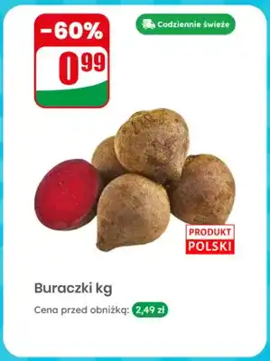 Dino Buraczki polskie oferta