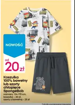Pepco Szorty chłopięce oferta