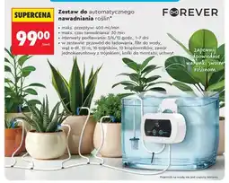 Biedronka Zestaw do automatycznego nawadniania roślin Forever oferta