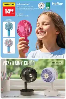 Biedronka Miniwentylator z rączką Hoffen oferta
