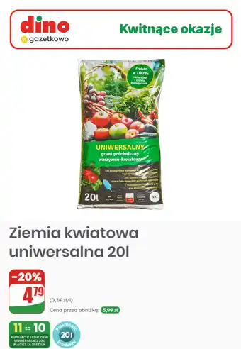 Dino Ziemia kwiatowa uniwersalna oferta