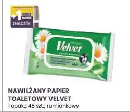 Stokrotka Market NAWILŻANY PAPIER TOALETOWY VELVET oferta