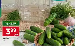 Stokrotka Market Ogórki oferta
