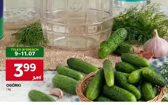 Stokrotka Market Ogórki oferta