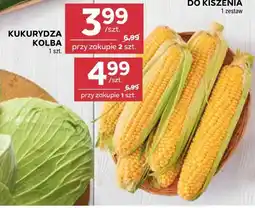 Stokrotka Market KUKURYDZA KOLBA oferta