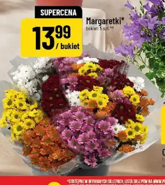 Polomarket Margaretki oferta