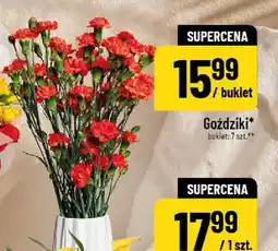 Polomarket Goździki oferta