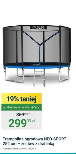 ERLI Trampolina ogrodowa Neo-Sport oferta
