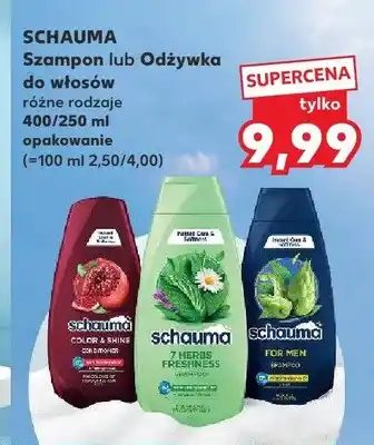 Kaufland Odżywka do włosów Schauma oferta