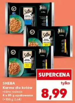 Kaufland Karma dla kotów oferta