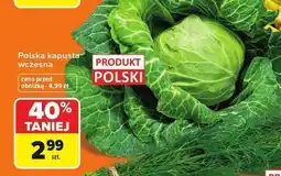 Carrefour Kapusta wczesna polska oferta