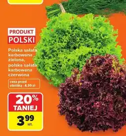 Carrefour Sałata karbowana zielona polska oferta