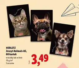 Lidl HERLITZ Zeszyt Animals A5, 60 kartek oferta