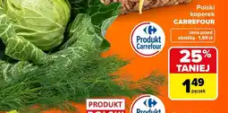 Carrefour Polski koperek CARREFOUR oferta