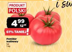 Netto Pomidor malinowy oferta