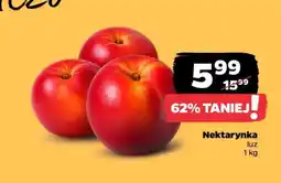 Netto Nektarynka luz oferta