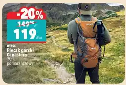Biedronka Plecak górski Canastero oferta