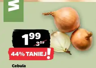 Netto Cebula oferta