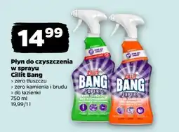 Netto Płyn do czyszczenia w sprayu Cillit Bang oferta