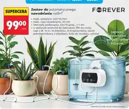 Biedronka Zestaw do automatycznego nawadniania roślin oferta