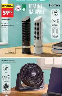 Biedronka Wentylator oferta