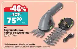 Biedronka NAC Akumulatorowe nożyce do żywopłotu oferta