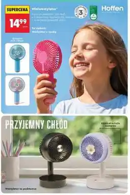 Biedronka Miniwentylator oferta