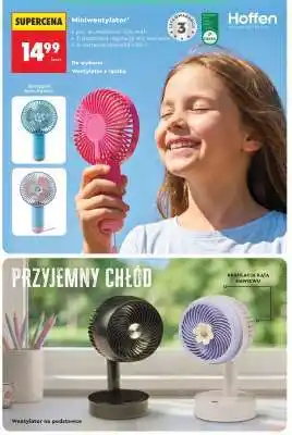 Biedronka Miniwentylator oferta