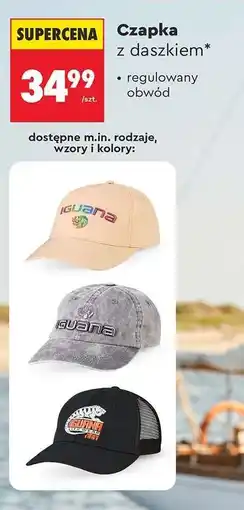 Biedronka Czapka z daszkiem oferta